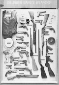 Guns of the Dillinger Gang
